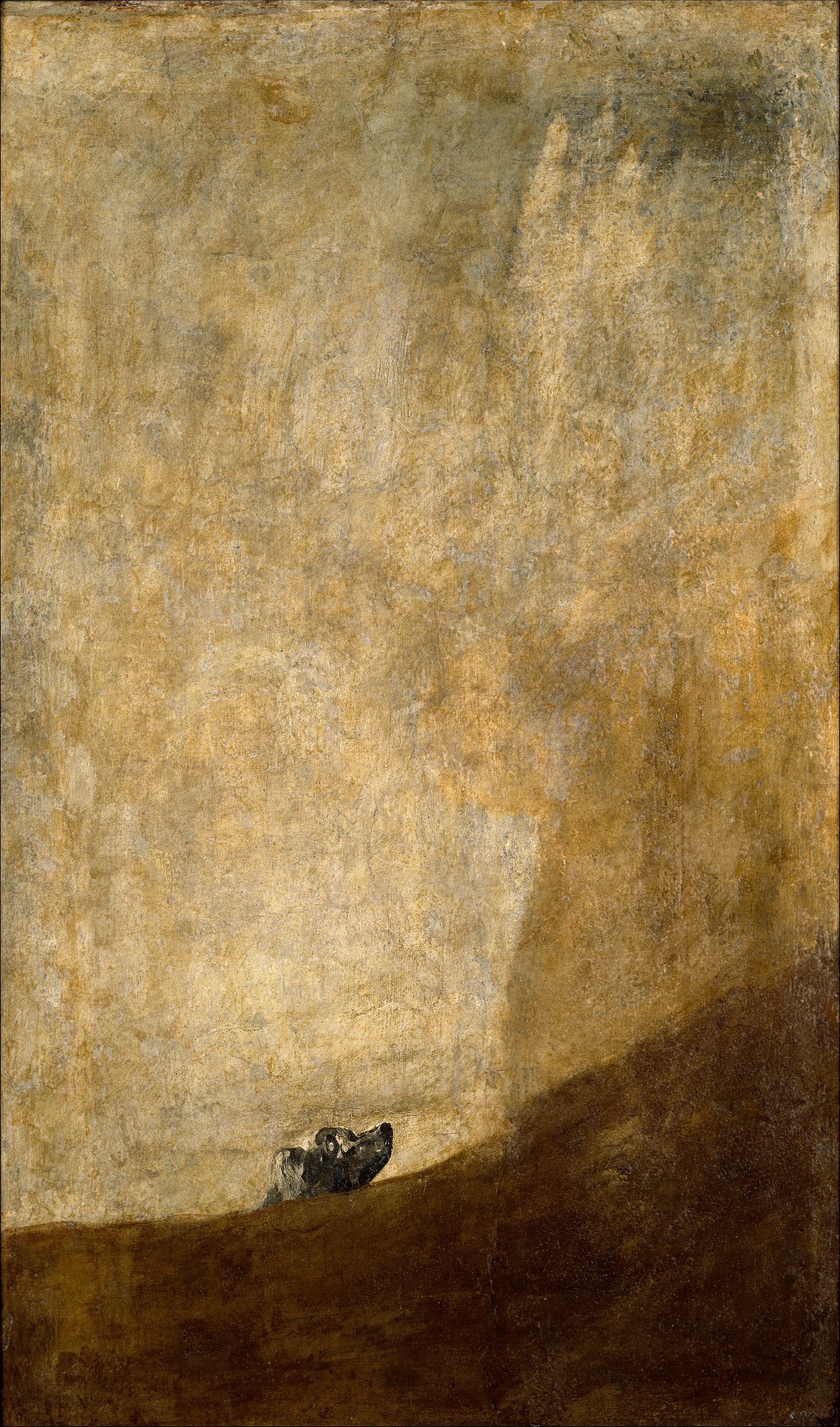 The Dog，作者 Francisco Goya