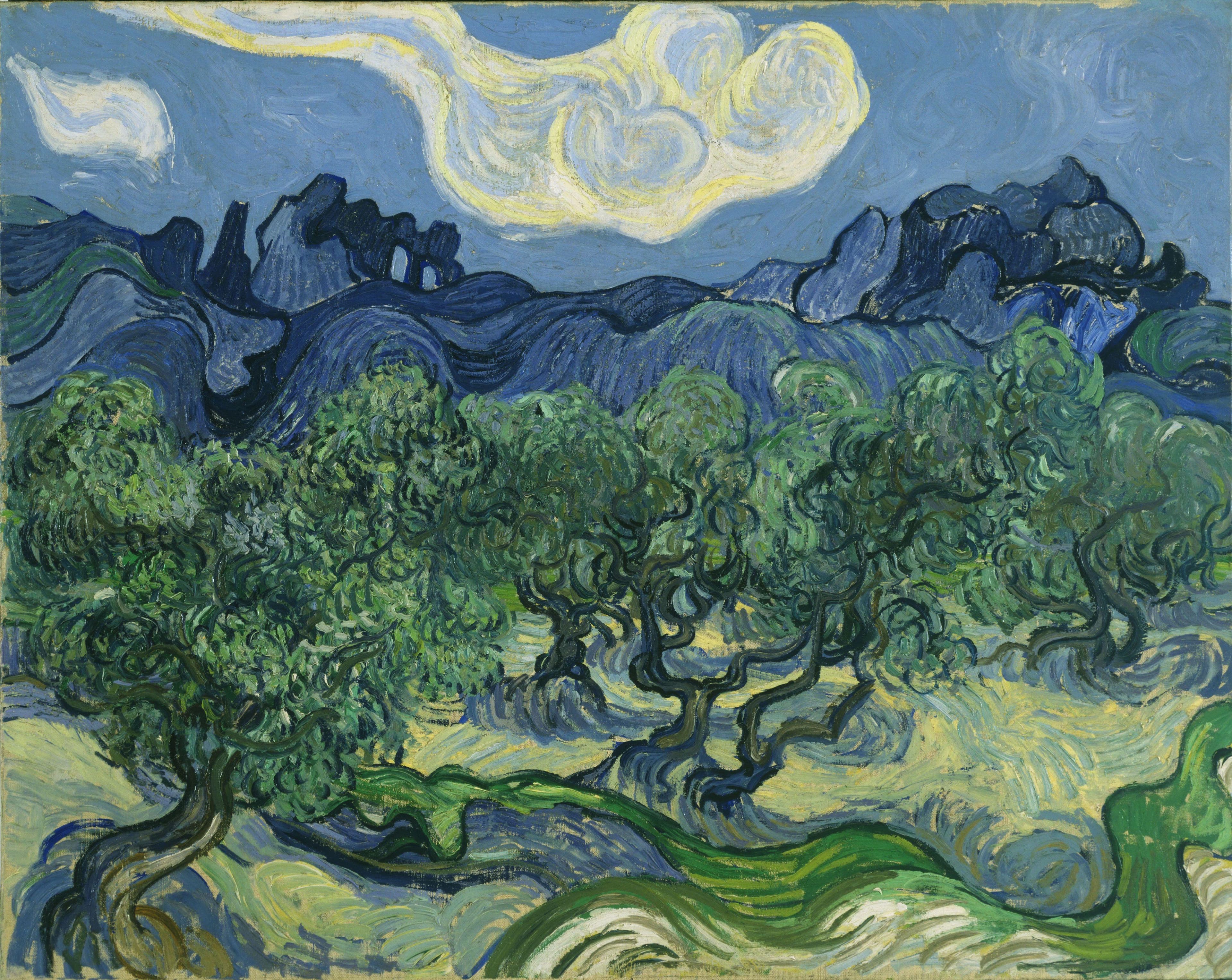 Olive Trees，作者 文森特·梵高