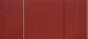Vir Heroicus Sublimis，作者 Barnett Newman